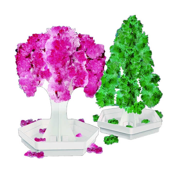 2 in 1 Crystal Tree Experiment Kit