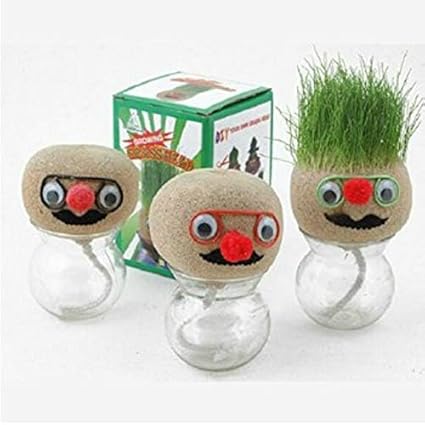 DIY Grass Head Growing kit