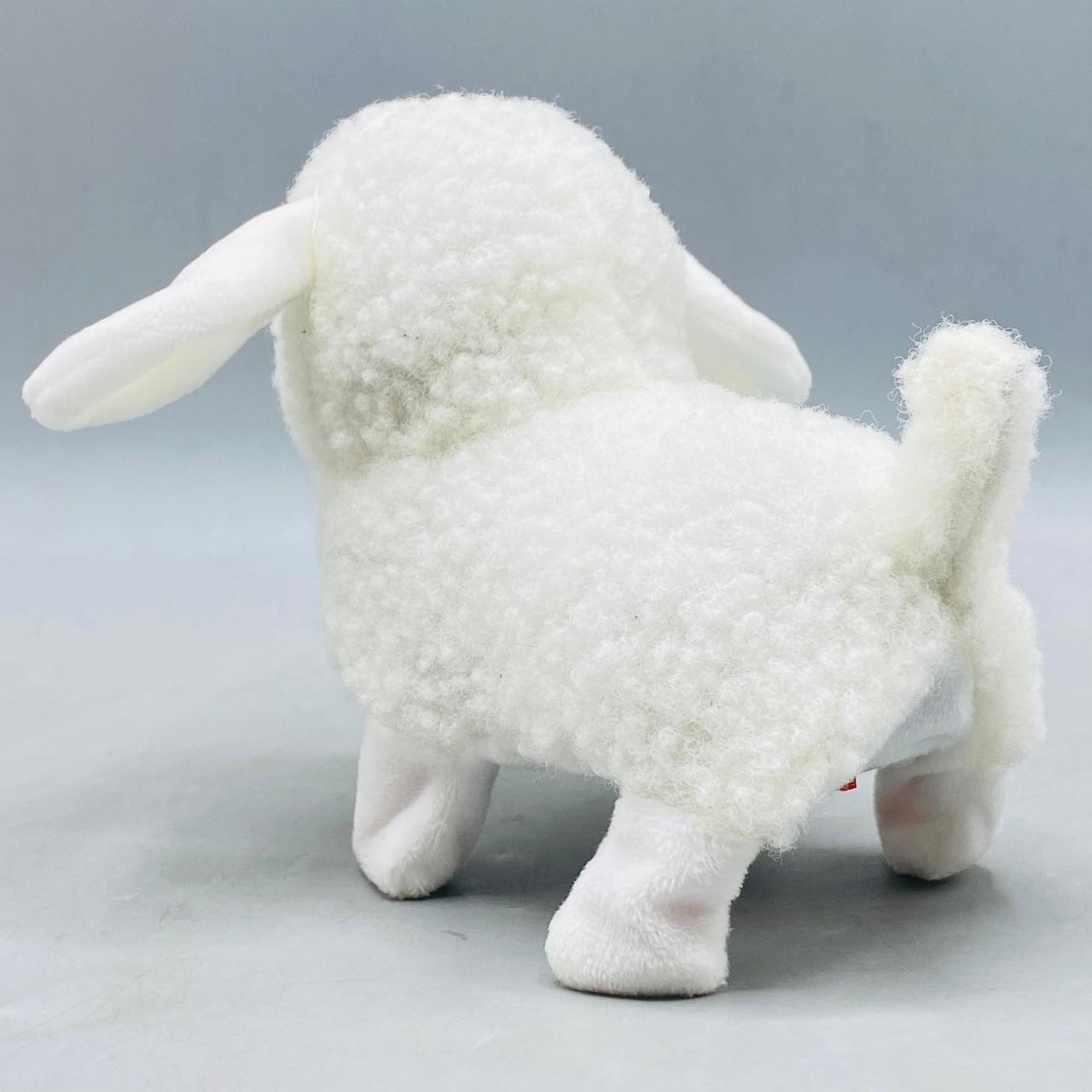 Crawling Sheep With Music