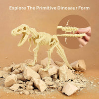 Thumbnail for Dinosaur Skeleton Soil Excavation Model Kit (Large Size)