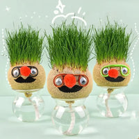 Thumbnail for DIY Grass Head Growing kit