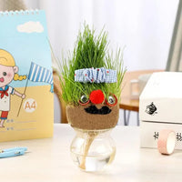 Thumbnail for DIY Grass Head Growing kit